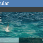 HTML5 Video Player para AngularJS – Videogular